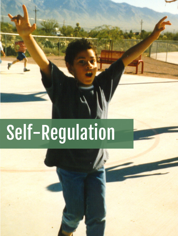 Self-regulation